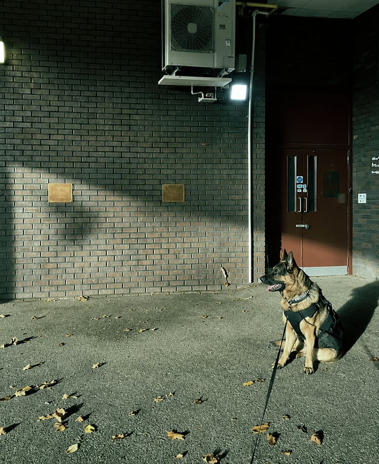 WiseK9 security dog at a commercial site